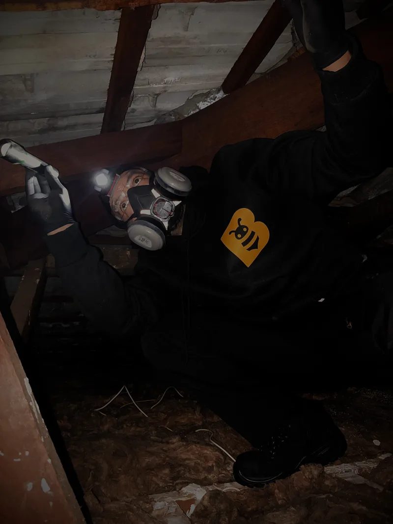Fabien from FAB Pest Control inspecting a concealed structural area to define the termite treatment scope